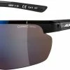 Alpina Defey HR - Lunettes De Sport