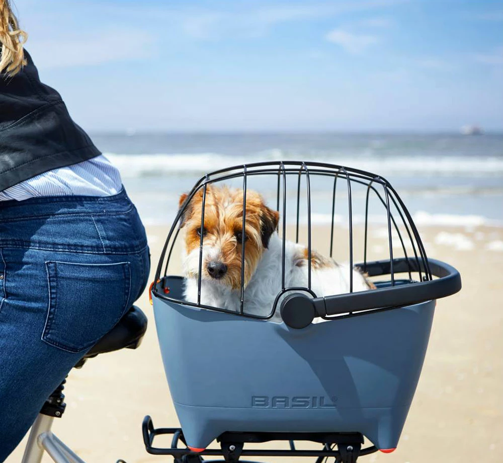 BASIL BUDDY Space Frame Grille Pour Panier – Image 4